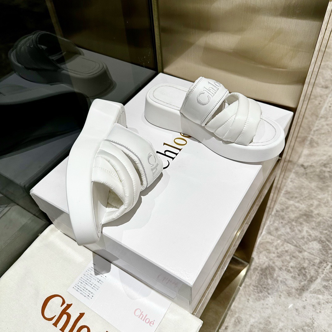 $79 CHLOE SHOES SIZE:EU35-41 321619D