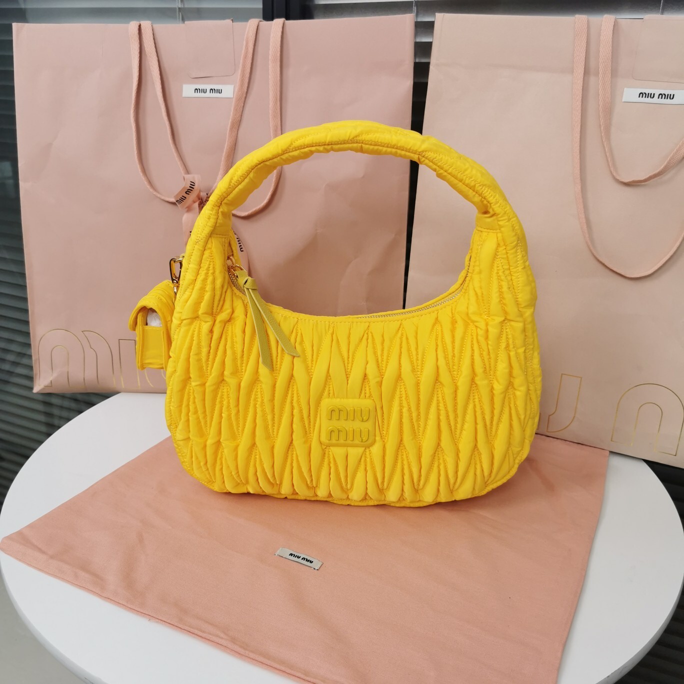 Miumiu MivWander bag