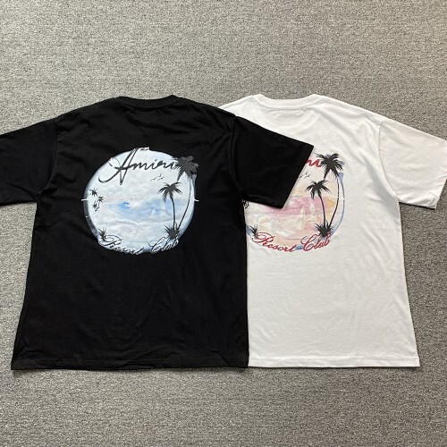 ￥110 AMIRI T-shirt