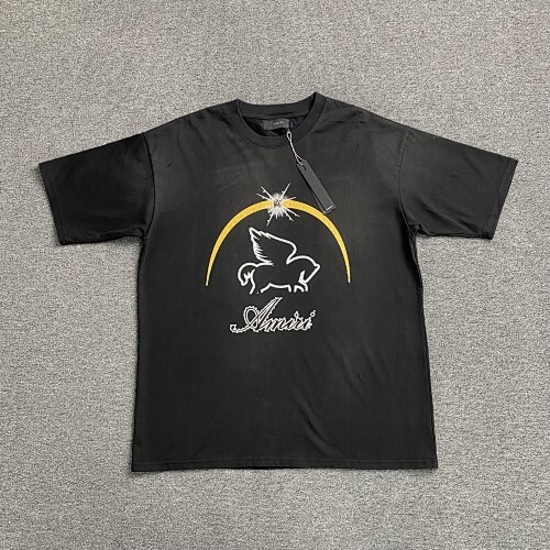 ￥120 AMIRI T-shirt