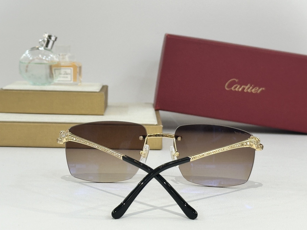 Cartier 0134