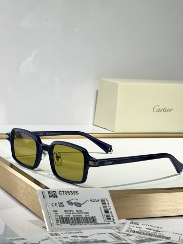 Cartier 0028
