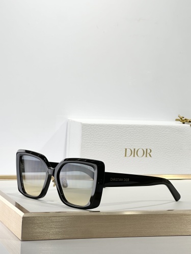 DIOR0131