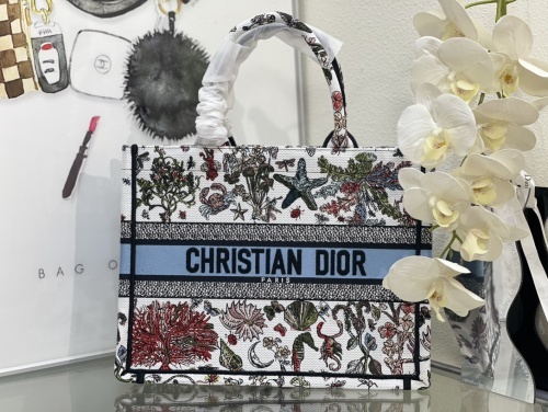 DIOR1091