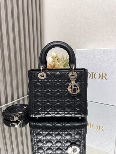 DIOR1587