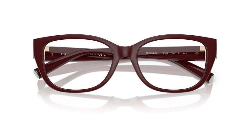 Optical frame 0064