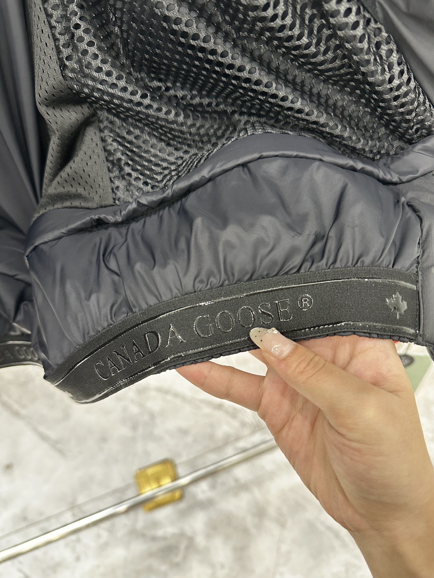 Canada Goos 0045