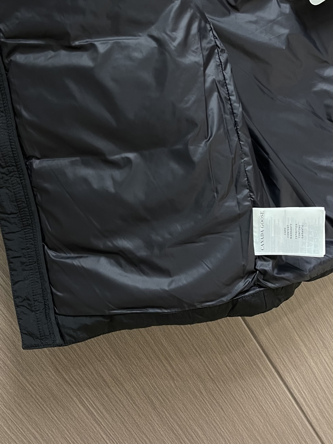 Canada Goos 0099