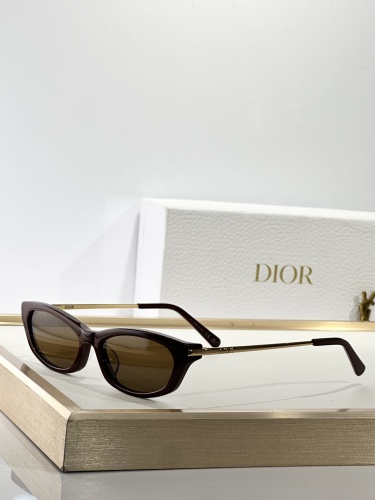 DIOR0079
