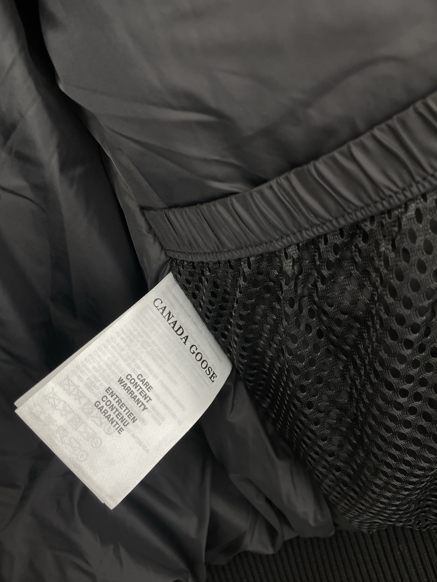 Canada Goos 0064