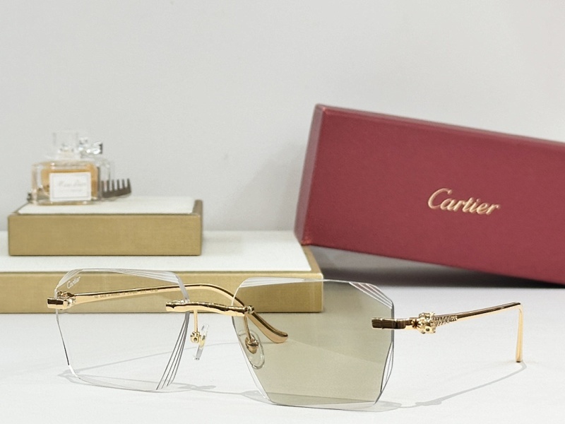 Cartier 0104