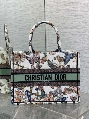 DIOR1145
