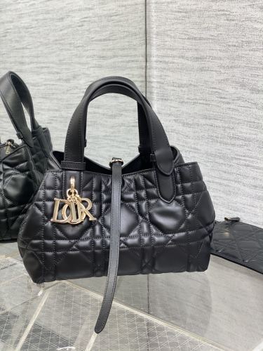 DIOR1309