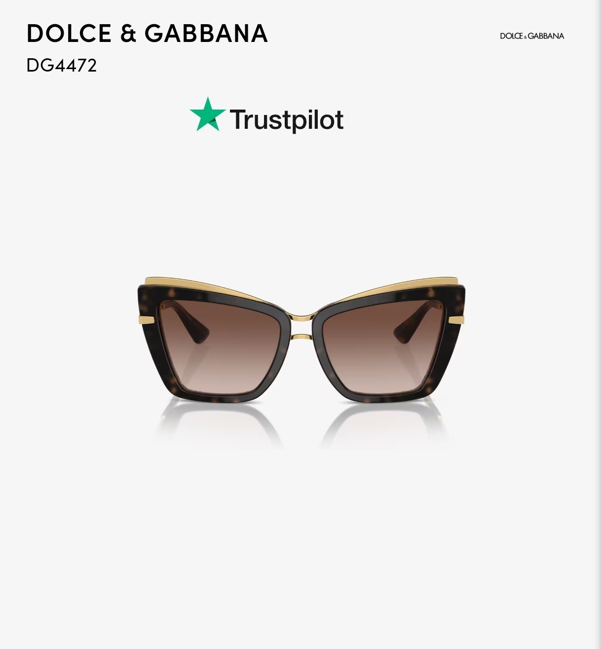DolceGabbana 0001