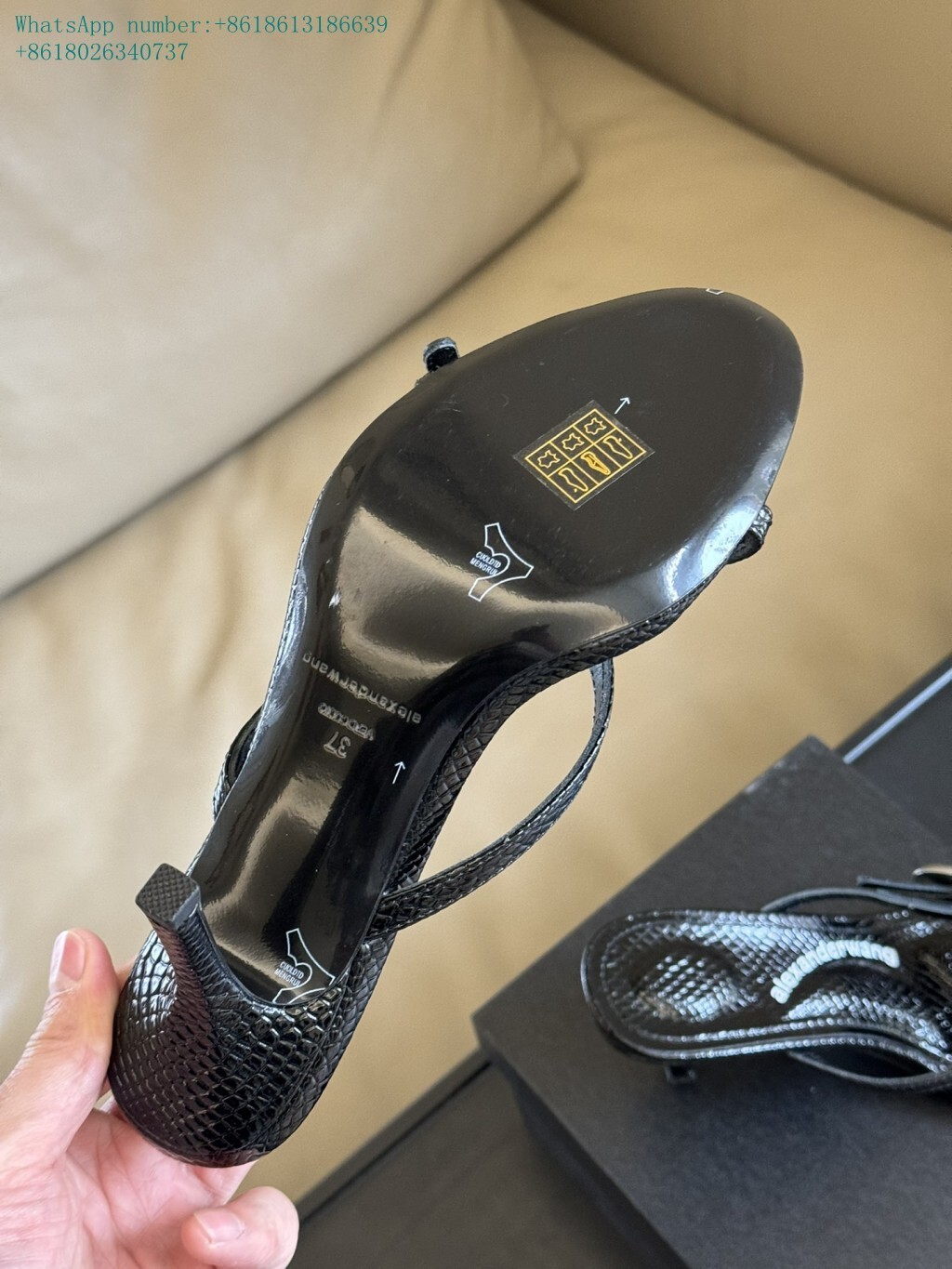 alexander women sandals