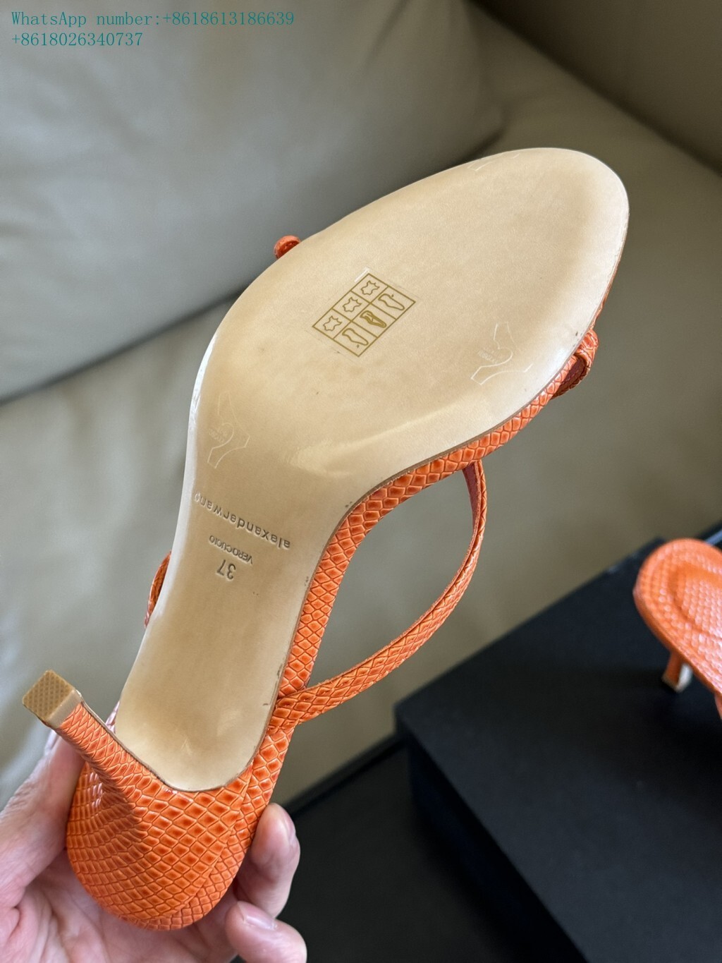 alexander women sandals