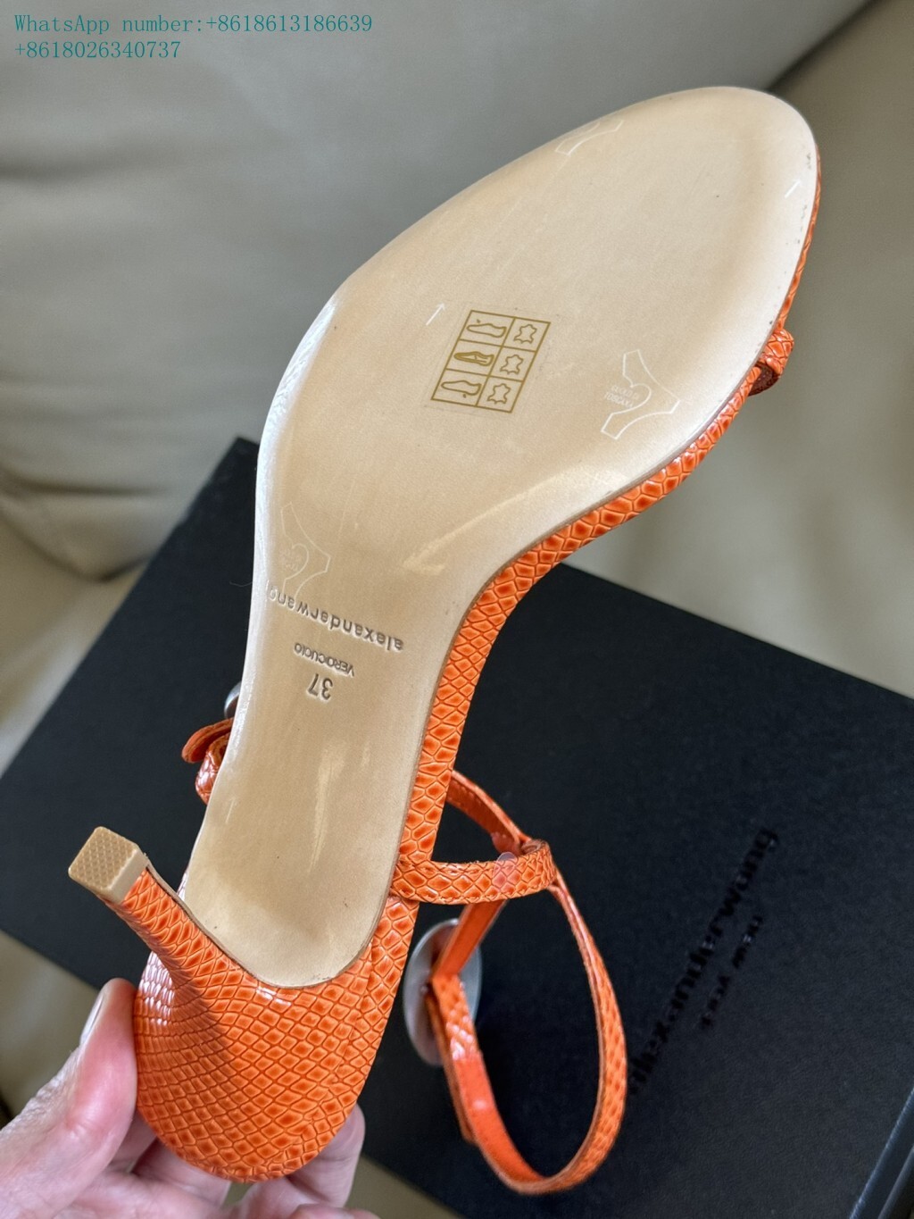 alexander women sandals