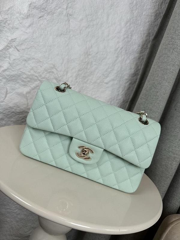 Chanel Bag -Chanel 0180