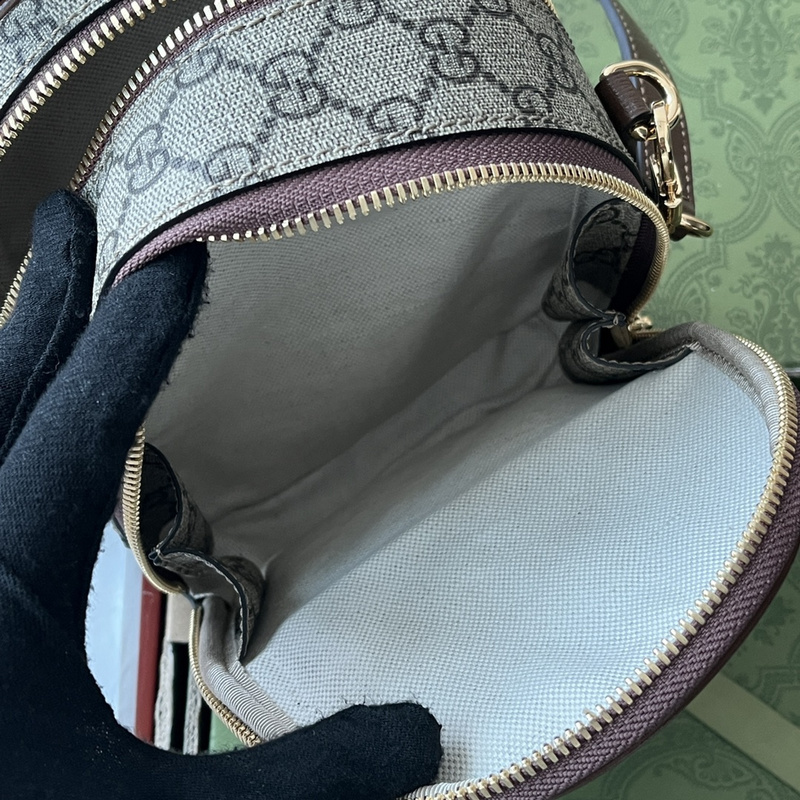 Gucci bags Gucci Supreme bag(DCCB)