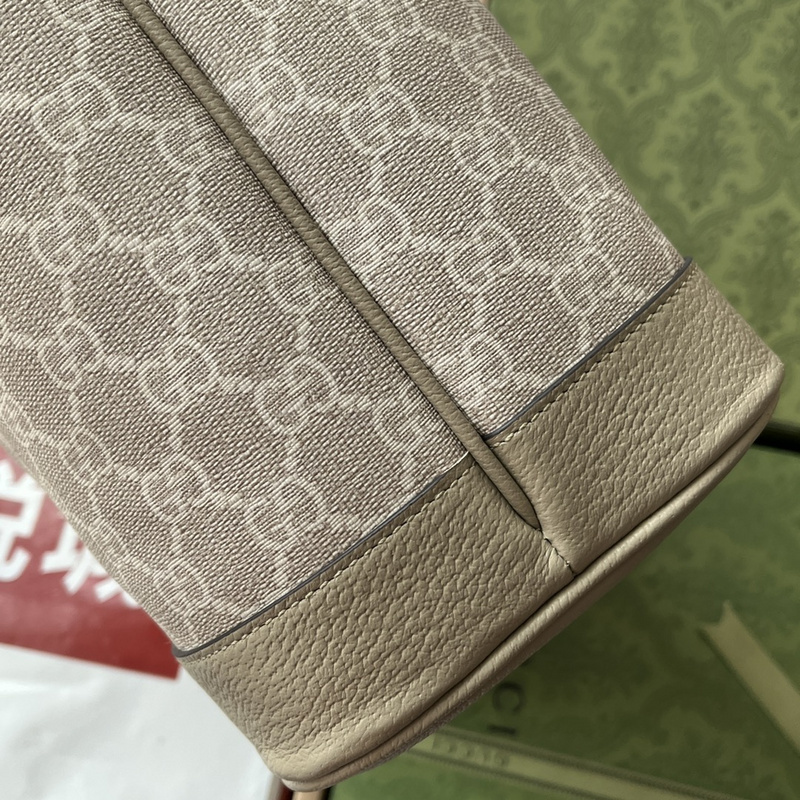 Gucci bags Gucci Ophidia bag(7C3D)