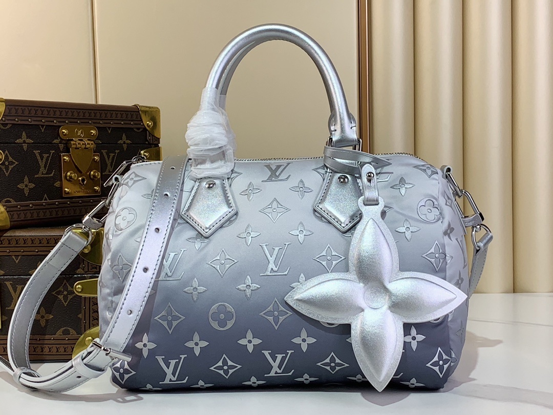LV-Handbags M11848 Silver (down)(02D2)