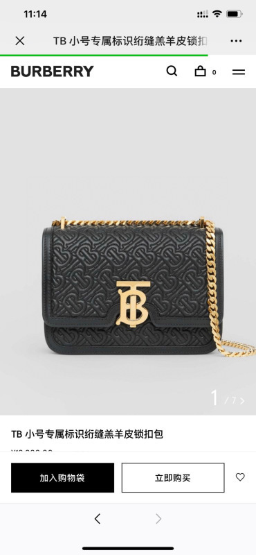 BURBERR Bag -BURBERRY 00836715