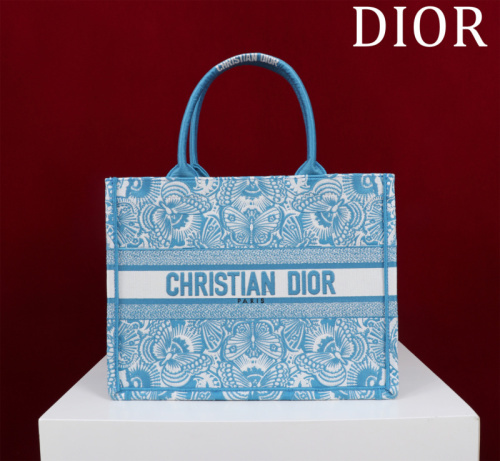 Dior Bag -DIOR15991E4F