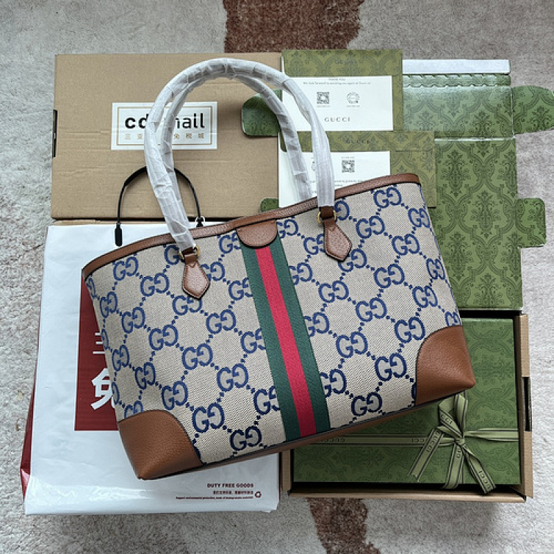 Gucci bags Gucci Ophidia(101F)