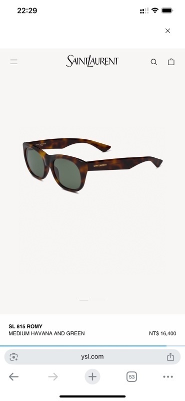 SAINTLAURENT glasses -Pull rod case 000272BF