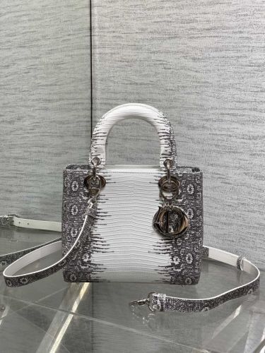 Dior Bag -DIOR1490049F