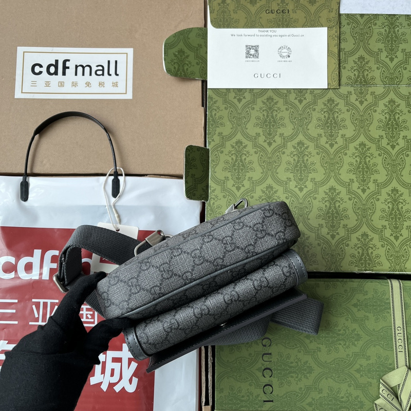 Gucci bags Gucci Ophidia bag(0C09)