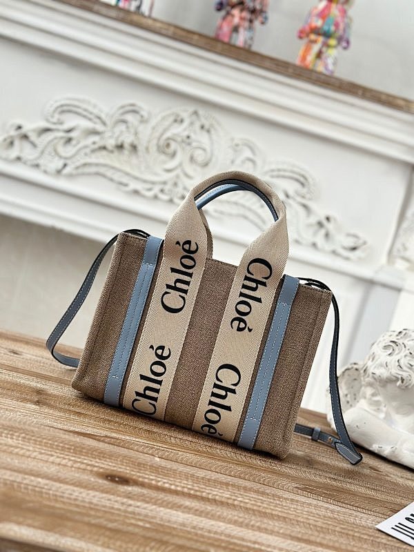 Chloe Bag -Chloé 01629E43