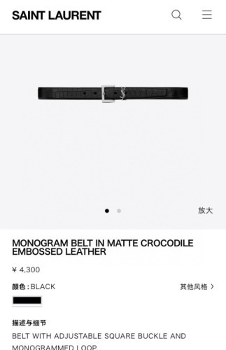 YSL The belt -YSL 00067B77