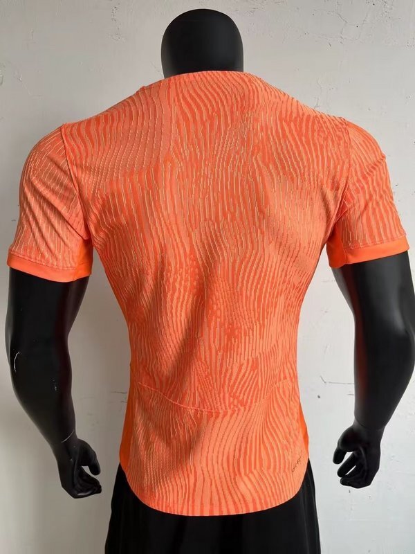 jersey 2023 Netherlands Home Player Version Soccer Jerseys(765F)