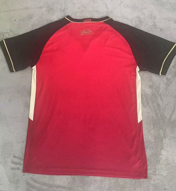Brazil League Jerseys Victoria 24-25 red(2257)
