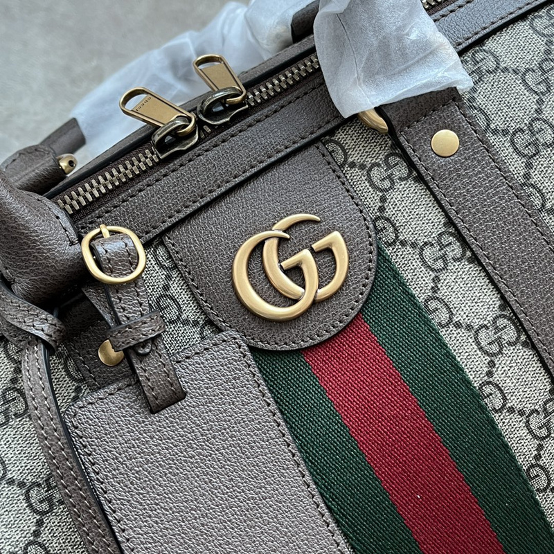 Gucci bags Gucci luggage bag(E57B)