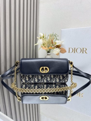 Dior Bag -DIOR16503EF2
