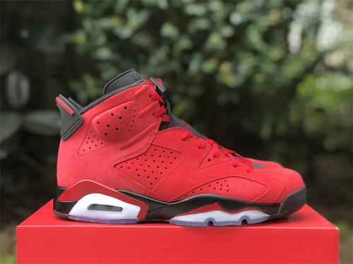 jordan 6 Air Jordan 6 Toro CT8529 600 40 47.5F109