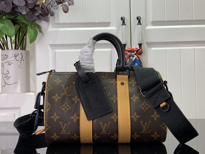 louis vuitton LV Handbag M466870BC0