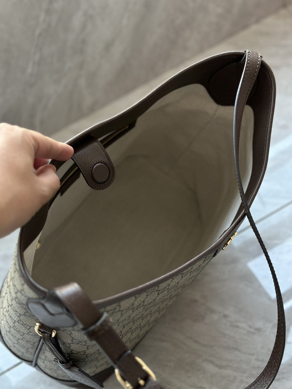 Gucci bags Gucci Ophidia bag(54E6)