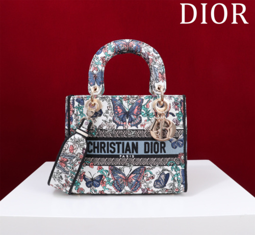Dior Bag -DIOR15919A55