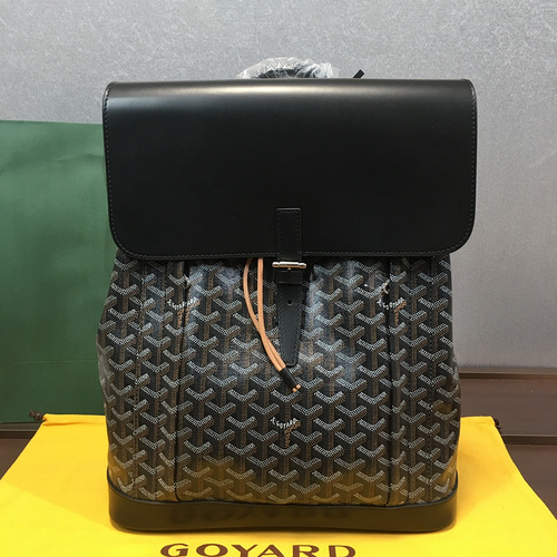 Goyard Alpin bag B2B1