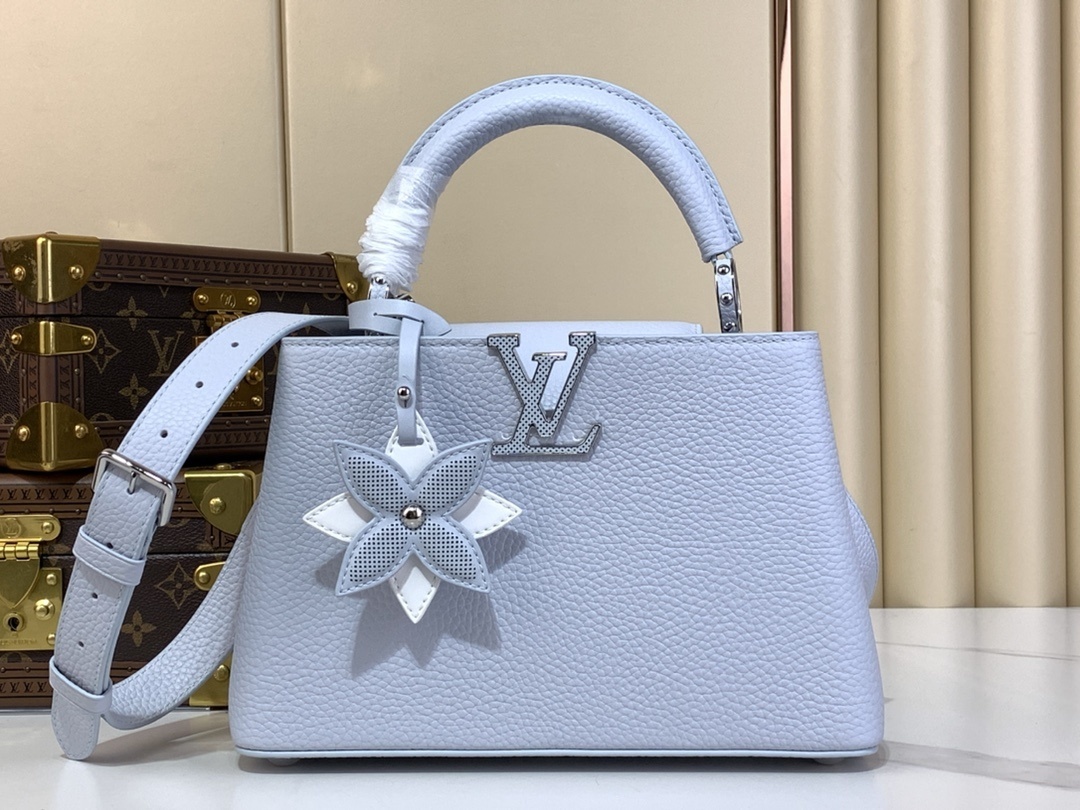 LV-Handbags m48865 m21303 Blue(491F)