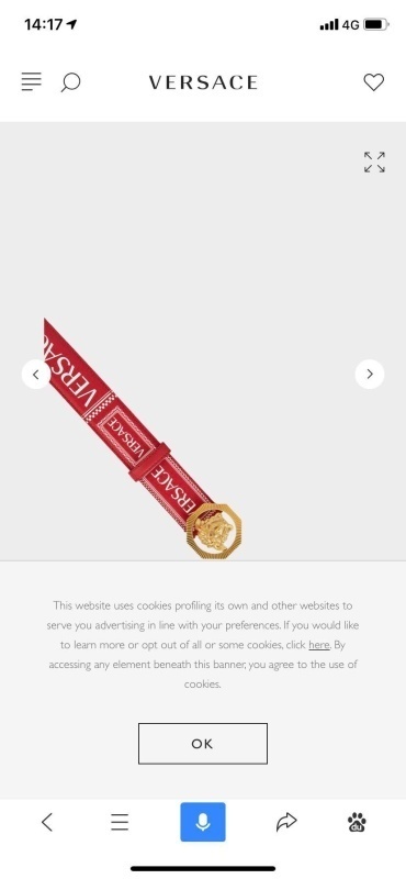 Versace The belt -VERSACE 007D1AE