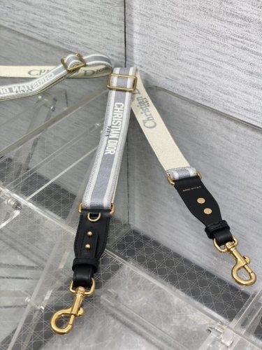 Dior Bag -DIOR1556C4FB