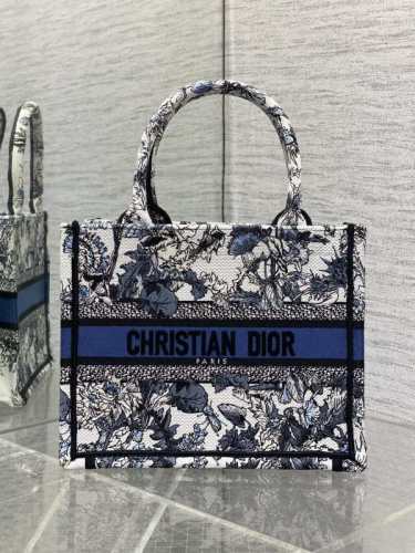 Dior Bag -DIOR160367B6