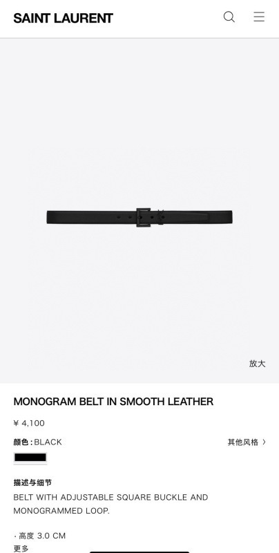 YSL The belt -YSL 0008F1AE