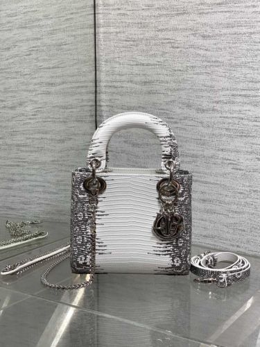 Dior Bag -DIOR1491F909