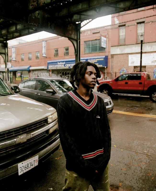 goat 220 v neck sweater5D51