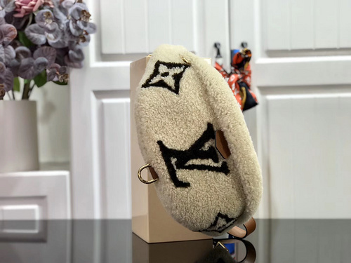 louis vuitton LV BUMBAG M55425EFBF